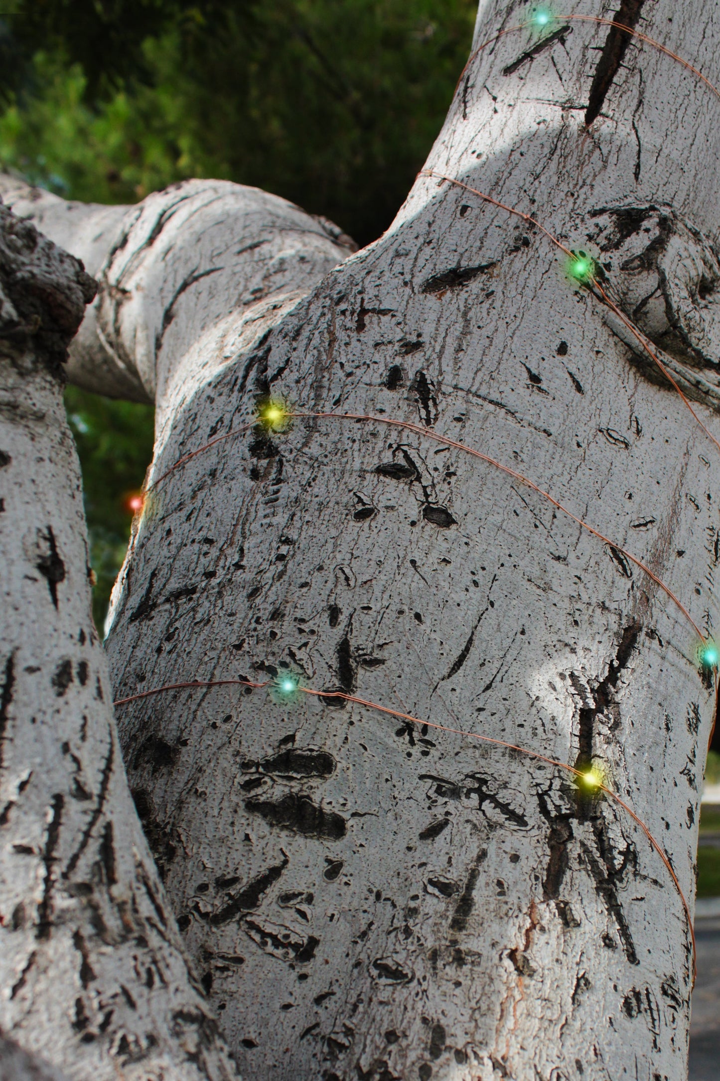 Solar Powered 200 LED 72ft Copper Wire Fairy Light 72' - 8 Light Modes
