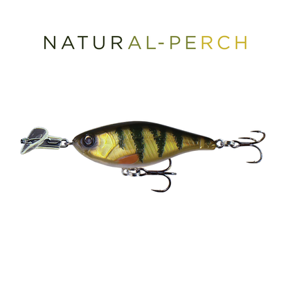 Headbanger Cranky Shad 2-1/2