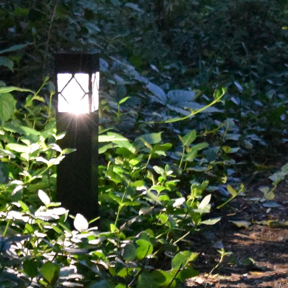 Malibu Marker SHADE SOLAR® Shade-3™ solar light works in the shade
