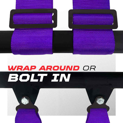 Pro Series 2" & 3" 4 point Harness with push button release