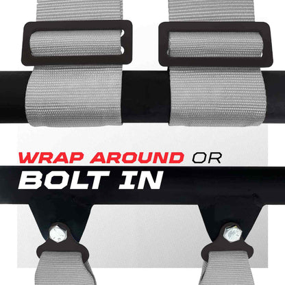 Pro Series 2" & 3" 4 point Harness with push button release