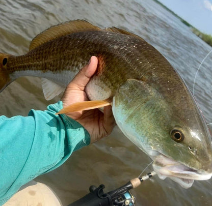 #1 Best Seller! Knockin Tail Lures Bundle, Limited Time Offer. Great deal!