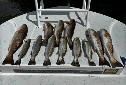 #1 Best Seller! Knockin Tail Lures Bundle, Limited Time Offer. Great deal!