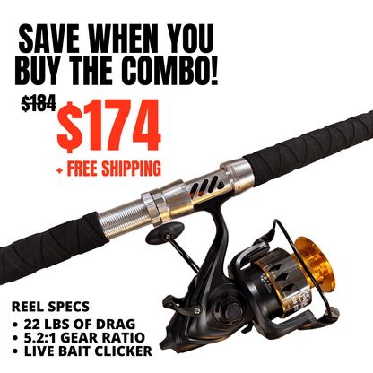 Black Dragon Fire Spinning Glow Rod